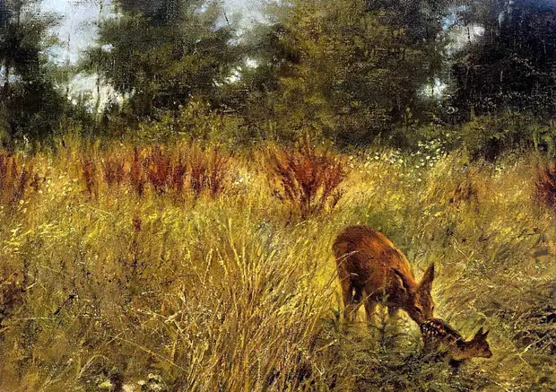 �������� ��� ���������.