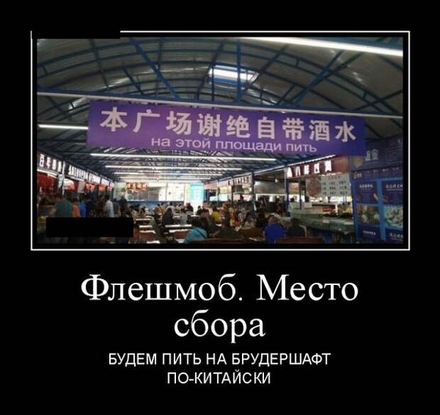 Демотиваторы (20 фото)