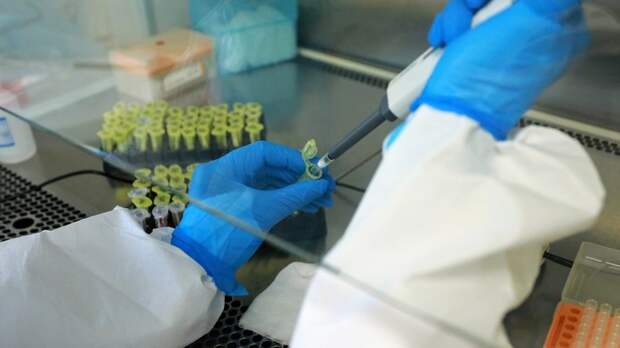 Анализ крови в лаборатории / Фото: amic.ru