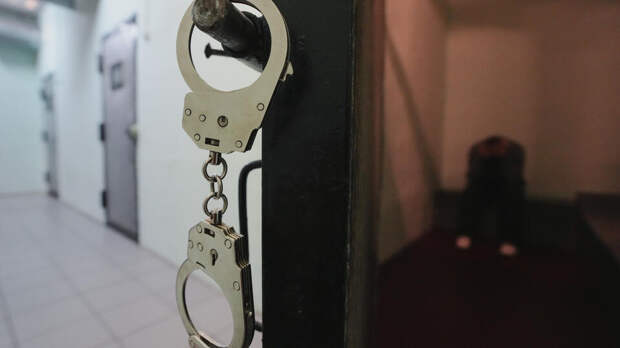 Экс-главу комитета по госзаказу Толстых арестовали