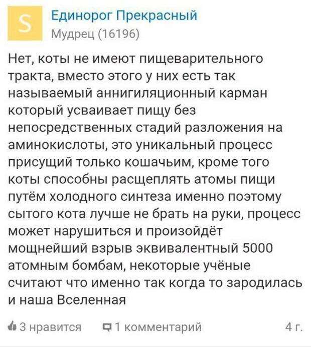 Подборка картинок. Дневной выпуск (50 фото)