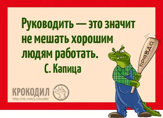 Демократия картинки юмор