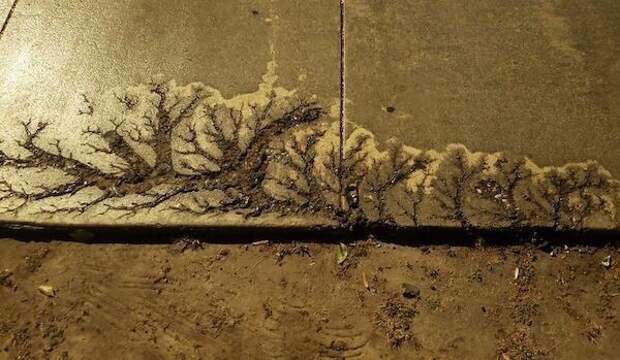 9. "Рисунок на тротуаре, на который я наткнулся случайно" 9. "Рисунок на тротуаре, на который я наткнулся случайно"