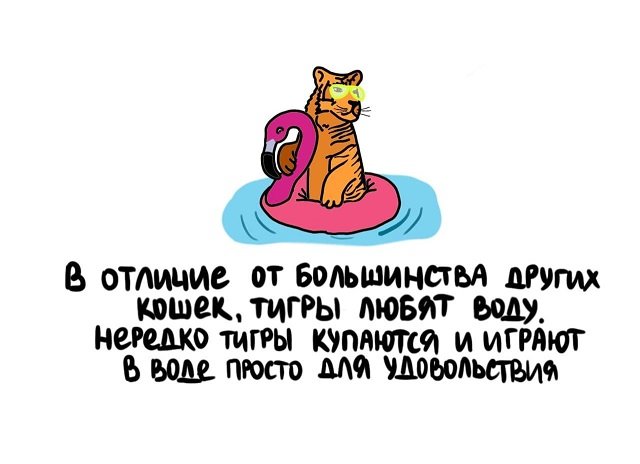 Подборка коротких интересных фактов на все случаи жизни