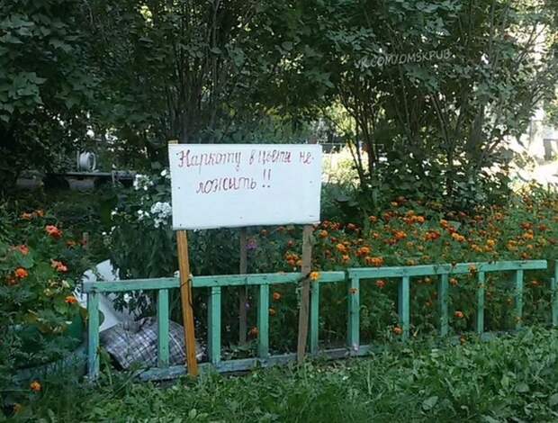 Подборка смешных и веселых картинок для настроения (11 фото) Подборка смешных и веселых картинок для настроения (11 фото)