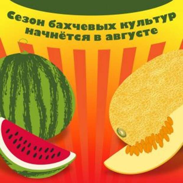 Эксперт дала совет по выбору лучших арбузов и дынь