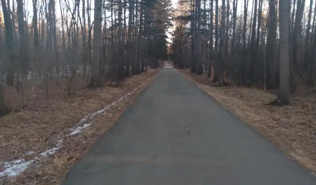 «Давно пора» — жители Хабаровского края поддерживают реновацию Дендрария