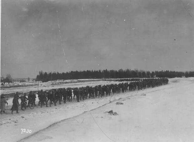 03. Немецкие войска на марше в Дорпат (Юрьев). 28 февраля