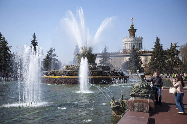 Голубые ели гармонично вписывались в композицию фонтана "Каменный цветок" и павильона Украина. вднх, москва, урбанистика
