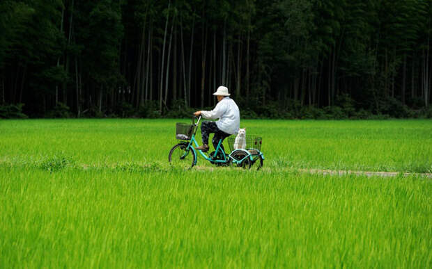 На велосипеде.  Фото: Miyoko Ihara.