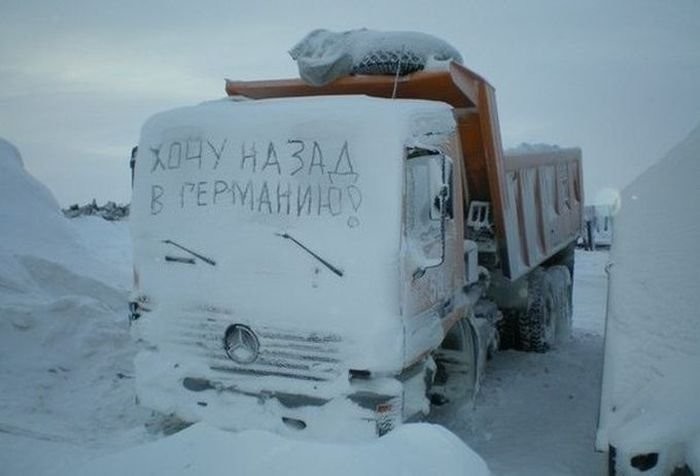 post-3562-0-08712600-1480502747.jpg