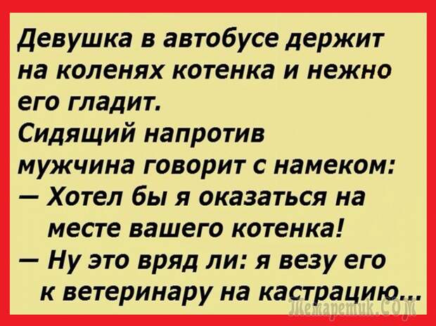 20 анекдотов, от которых хочется хохотать. Просто умора