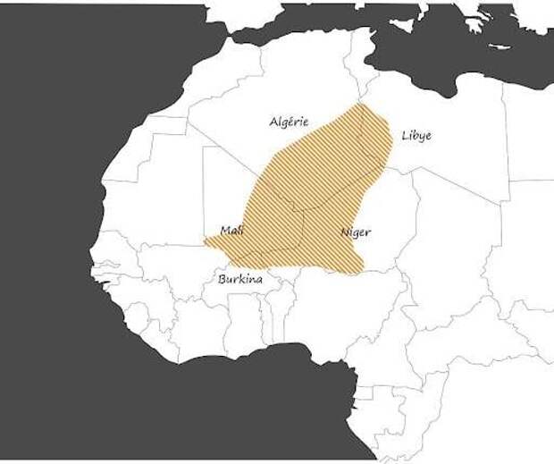 Мали: борьба с террористами и война за ресурсы. Туарегский фактор
