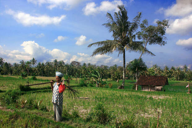 42. Убуд, Бали, Индонезия  мир, народ, портрет, разнообразие