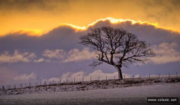 nature_007