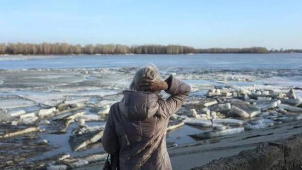 До +18 градусов. Какая погода ждет Алтайский край 19 апреля