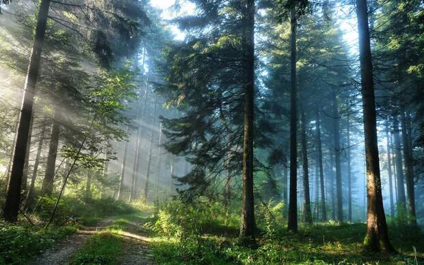 фото с desktopwallpapers.ru