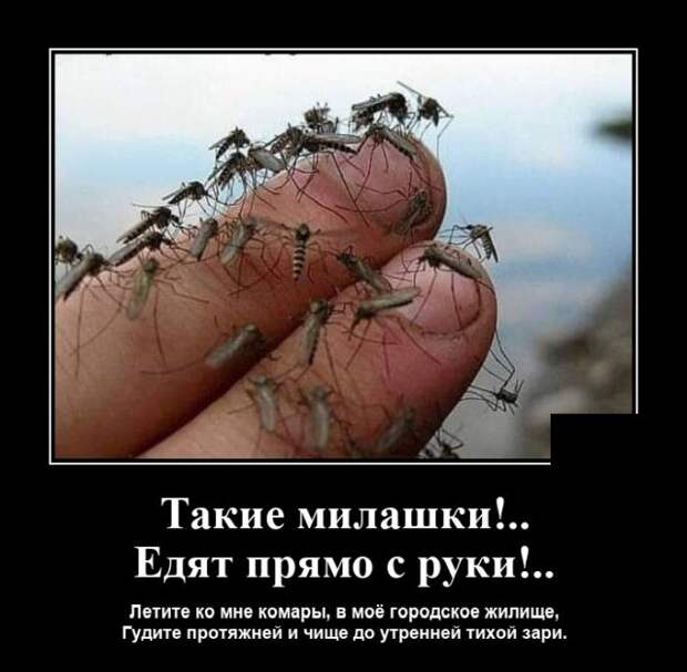 Демотиваторы 12 июля 2021