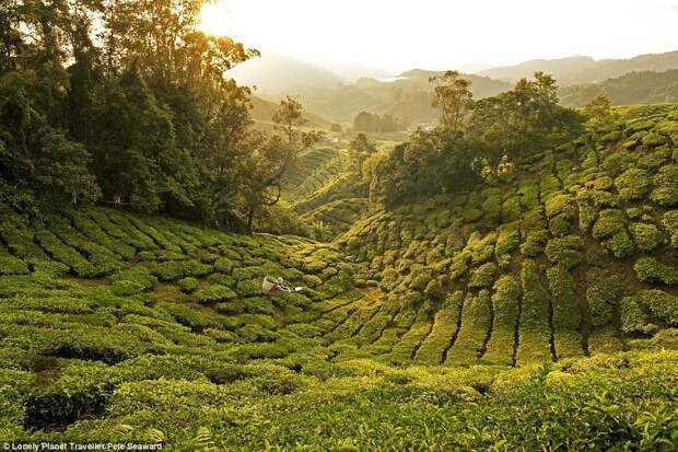 Самые интересные места планеты по версии журнала Lonely Planet Traveller