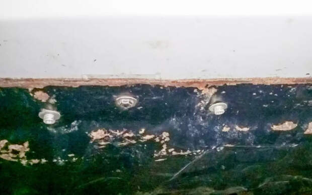 Сохраняем подкапотное пространство в чистоте — простое решение