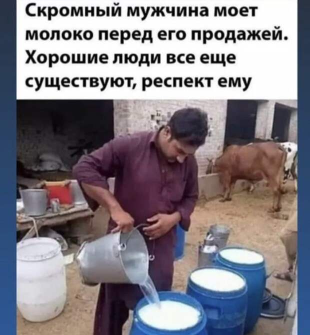 Лучшие шутки и мемы из Сети