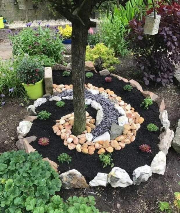 Идеи для дачи: спиральный сад