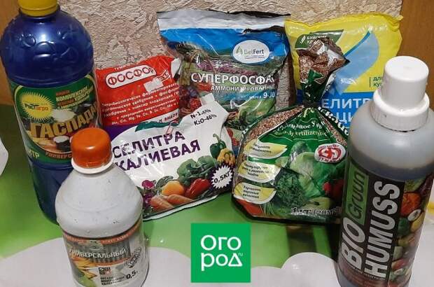 Удобрения в квартире