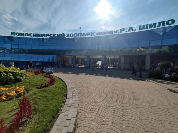 Прокуратура и РКН проверят баннеры с орангутаном ко Дню Победы