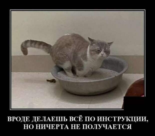 Прикольные демотиваторы с надписями. Подборка chert-poberi-dem-chert-poberi-dem-21080416012021-8 картинка chert-poberi-dem-21080416012021-8