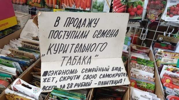 С постоянным ростом цен на сигареты - это вполне себе выход С постоянным ростом цен на сигареты - это вполне себе выход