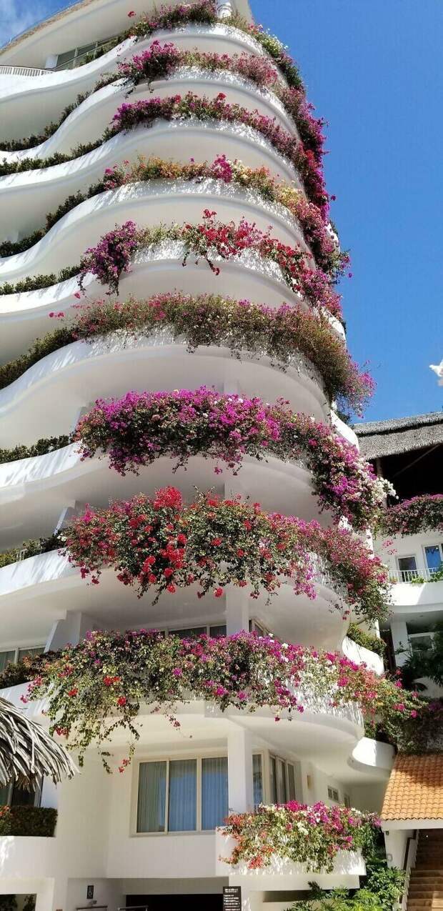 Украшенные бугенвидлией балконы отеля в Пуэрто Валларте