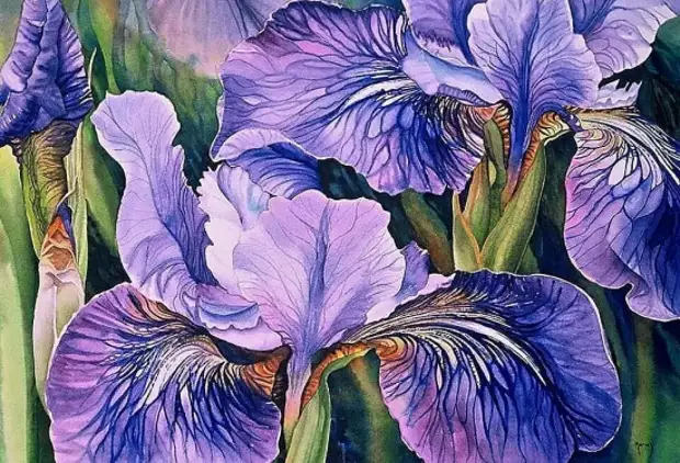 картина художника Марни Вард (Marney Ward) – 20 художник Marney Ward (Марни Вард) картины – 20