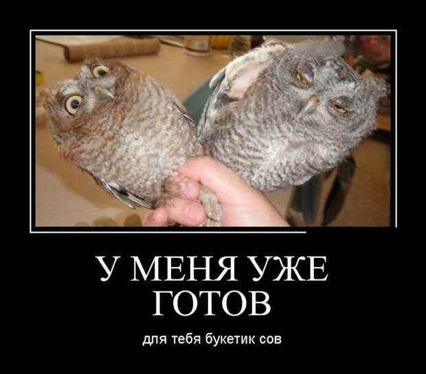 Демотиваторы (30 фото)