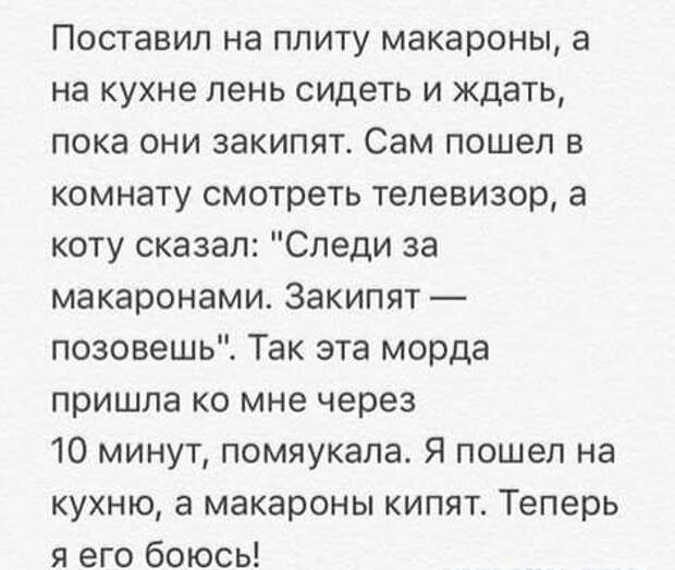 Смешные картинки из соц.сетей  картинки, комментарии, переписка, соц. сети, юмор