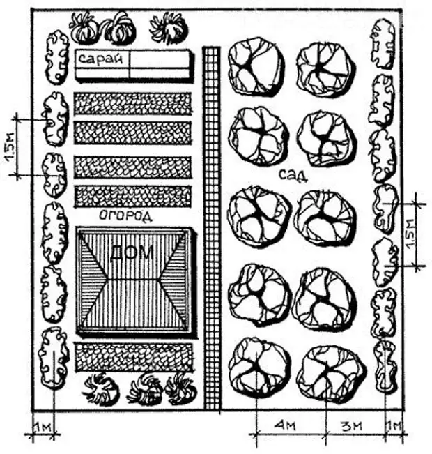 Планировка грядок на огороде схема