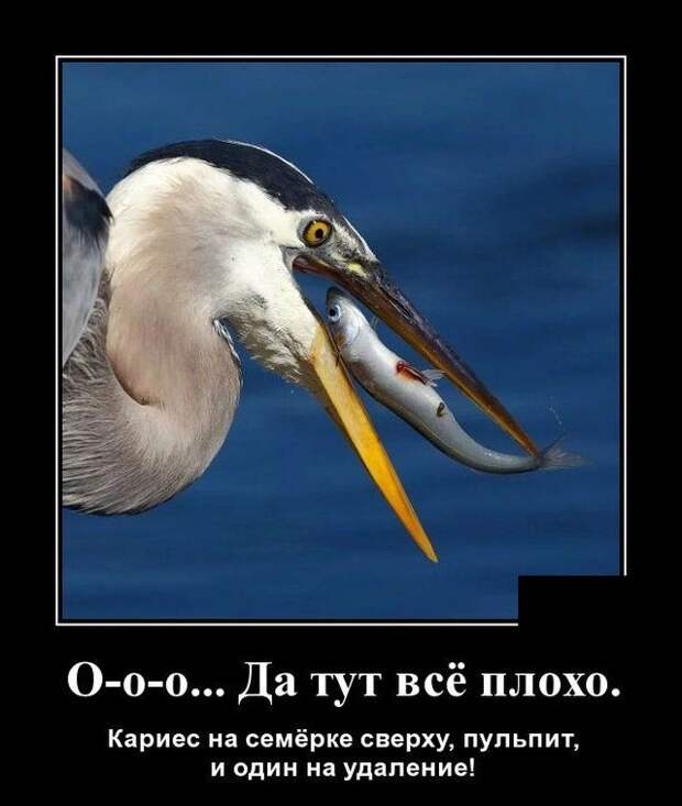 demotivatory-demotivator-smeshnye-demotivatory-demotivator-so-smyslom