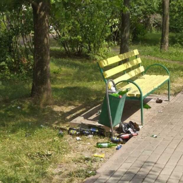 Аллею на Челобитьевском шоссе привели в порядок