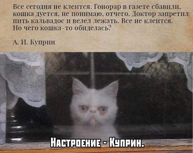Подборка картинок. Дневной выпуск (30 фото)
