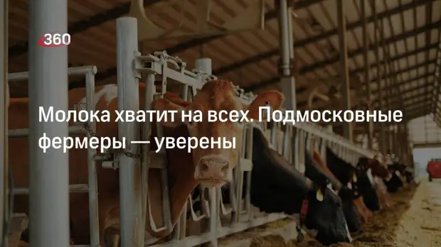 Фермеры хозяйства «Сокольниково» в Одинцове рассказали о производстве молока