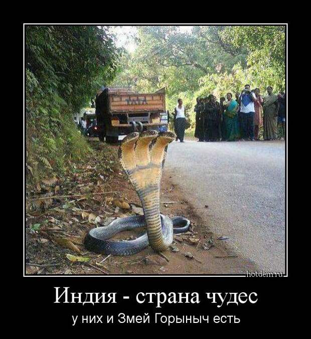 Веселые и прикольные демотиваторы для позитива (10 фото) Веселые и прикольные демотиваторы для позитива (10 фото)