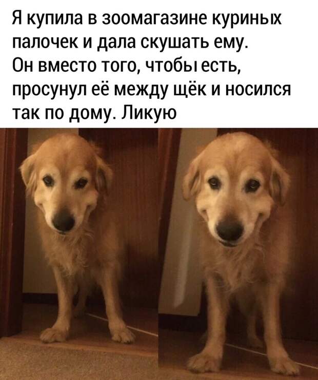 Заначка