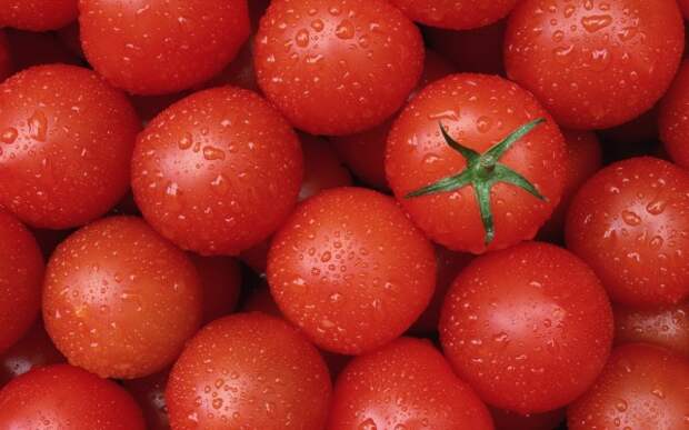 Секреты виртуозной очистки и нарезки продуктов Секреты виртуозной очистки и нарезки продуктов кулинария, советы