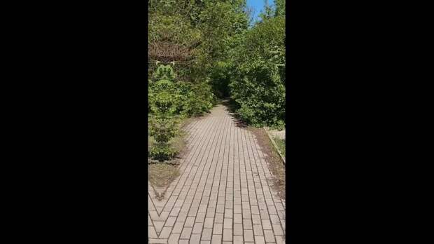 Video: VivaCut_video_1745851950266_HD.mp4
