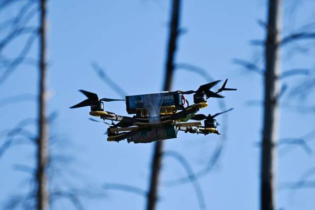 WSJ: Китайские инженеры обучают боевые беспилотники на ястребах и голубях
