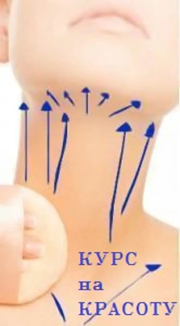 Массажные линии декольте и шеи схема