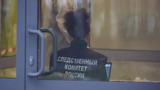 Обвиняемый в похищении девочки в Смоленске состоял в связи с ее тетей