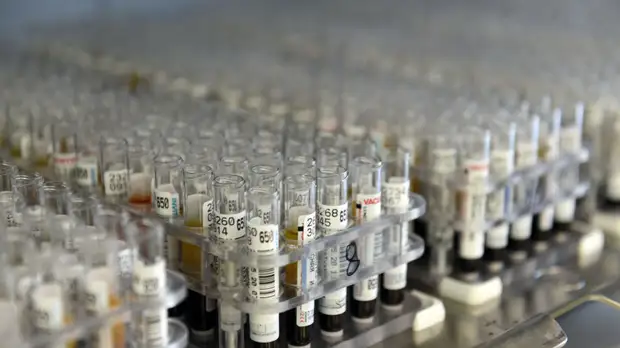 Российские военные разработали ускоренный метод тестирования на COVID-19