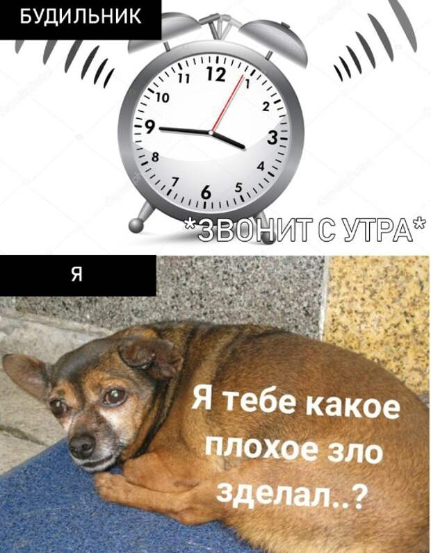 Подборка картинок. Дневной выпуск (24 фото)
