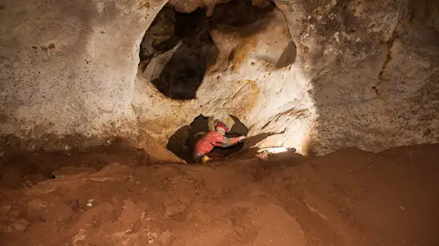 Учёные определили принадлежность найденных в Крыму древних костей животных