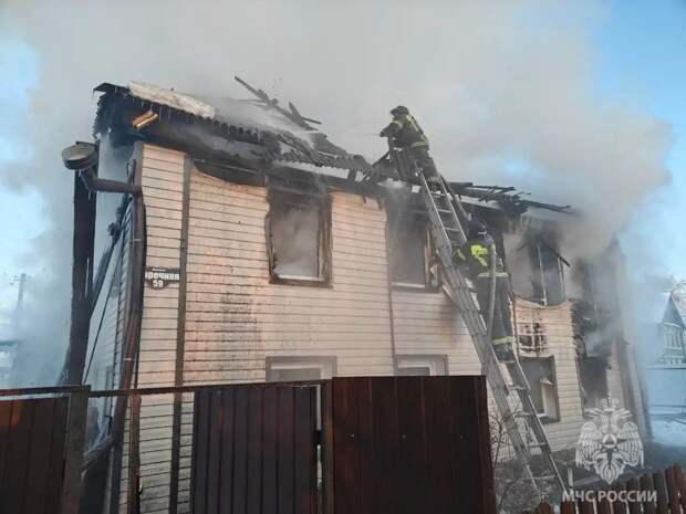 Четверых человек и собаку спасли в Боровичах пожарные